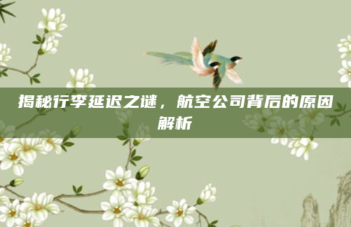 揭秘行李延迟之谜，航空公司背后的原因解析