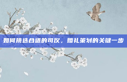 如何挑选合适的司仪，婚礼策划的关键一步