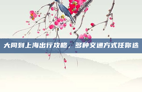 大同到上海出行攻略，多种交通方式任你选