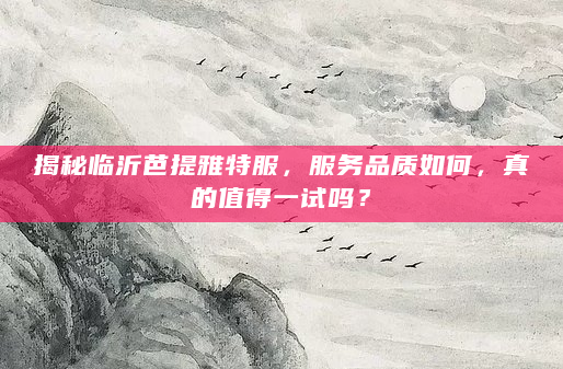 揭秘临沂芭提雅特服，服务品质如何，真的值得一试吗？