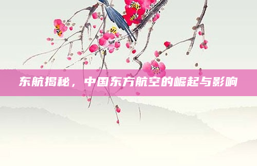 东航揭秘，中国东方航空的崛起与影响