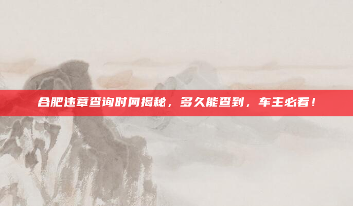 合肥违章查询时间揭秘，多久能查到，车主必看！