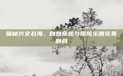 探秘兴文石海，自然奇观与探险乐园完美融合