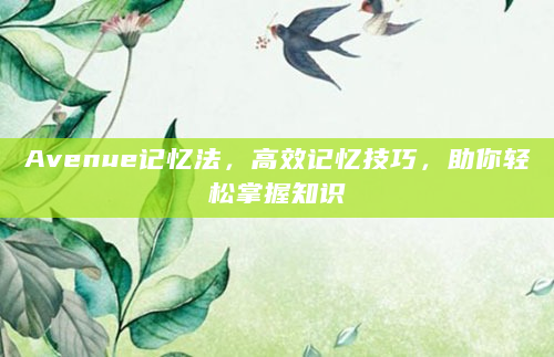 Avenue记忆法，高效记忆技巧，助你轻松掌握知识