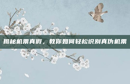 揭秘机票真假，教你如何轻松识别真伪机票