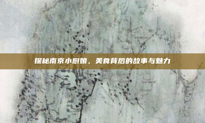 探秘南京小厨娘，美食背后的故事与魅力