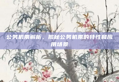 公务机票解析，揭秘公务机票的特性和应用场景