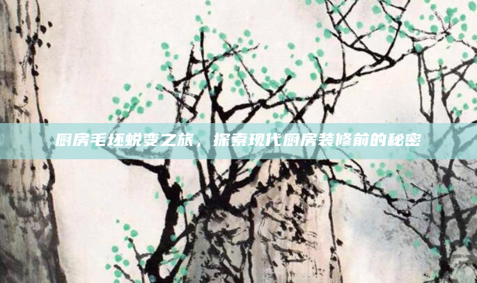 厨房毛坯蜕变之旅，探索现代厨房装修前的秘密