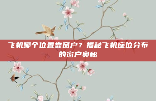 飞机哪个位置靠窗户？揭秘飞机座位分布的窗户奥秘