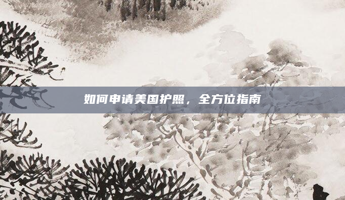 如何申请美国护照，全方位指南