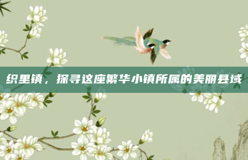 织里镇，探寻这座繁华小镇所属的美丽县域