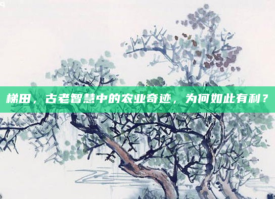 梯田，古老智慧中的农业奇迹，为何如此有利？