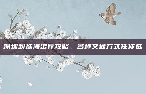 深圳到珠海出行攻略，多种交通方式任你选