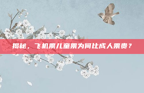 揭秘，飞机票儿童票为何比成人票贵？
