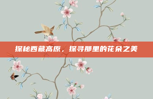 探秘西藏高原，探寻那里的花朵之美