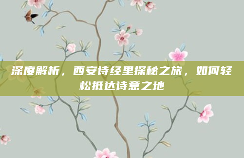 深度解析，西安诗经里探秘之旅，如何轻松抵达诗意之地