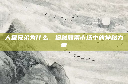 大盘兄弟为什么，揭秘股票市场中的神秘力量