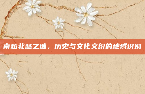 南越北越之谜，历史与文化交织的地域识别