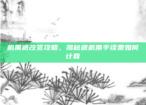 机票退改签攻略，揭秘退机票手续费如何计算