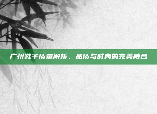 广州鞋子质量解析，品质与时尚的完美融合