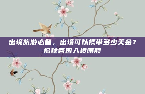 出境旅游必备，出境可以携带多少美金？揭秘各国入境限额
