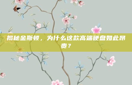 揭秘金斯顿，为什么这款高端硬盘如此昂贵？