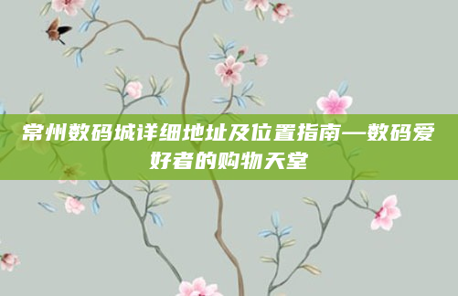 常州数码城详细地址及位置指南—数码爱好者的购物天堂