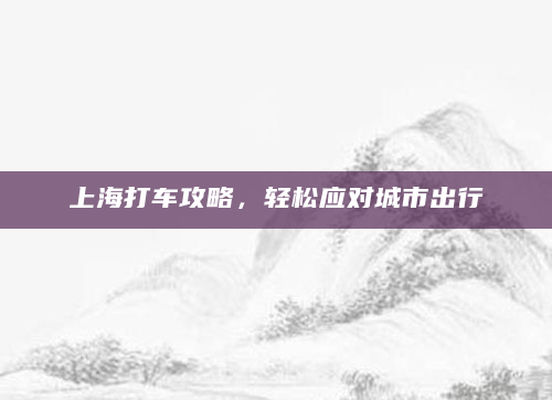 上海打车攻略，轻松应对城市出行