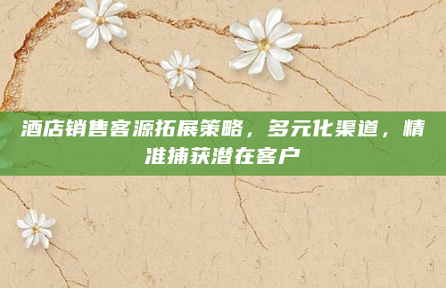 酒店销售客源拓展策略，多元化渠道，精准捕获潜在客户