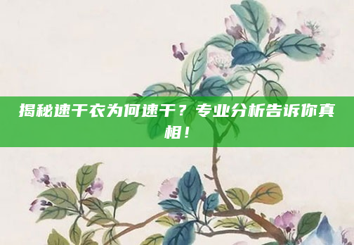 揭秘速干衣为何速干？专业分析告诉你真相！