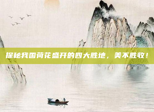 探秘我国荷花盛开的四大胜地，美不胜收！