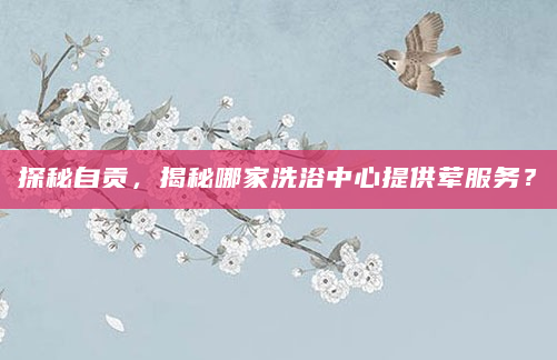 探秘自贡，揭秘哪家洗浴中心提供荤服务？