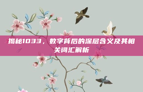 揭秘1033，数字背后的深层含义及其相关词汇解析