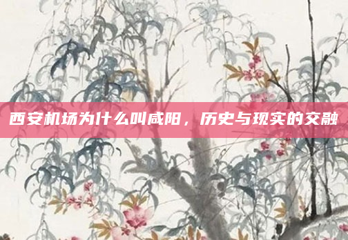 西安机场为什么叫咸阳，历史与现实的交融