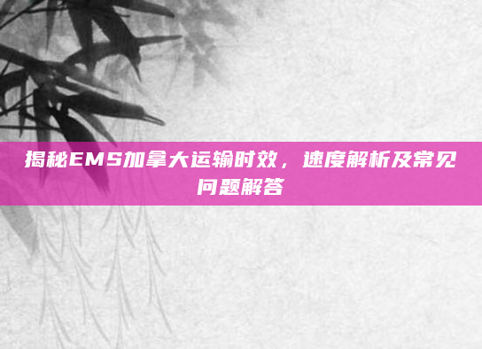揭秘EMS加拿大运输时效，速度解析及常见问题解答