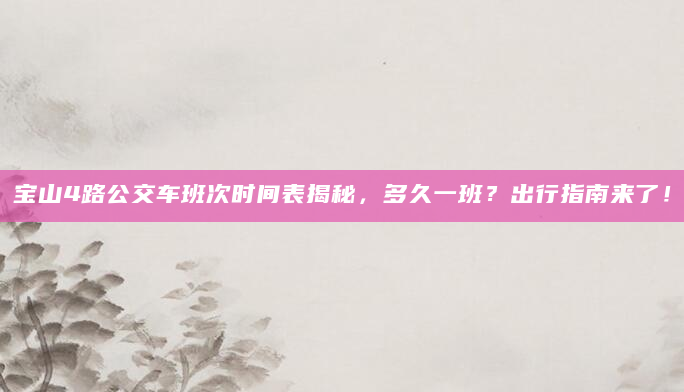 宝山4路公交车班次时间表揭秘，多久一班？出行指南来了！