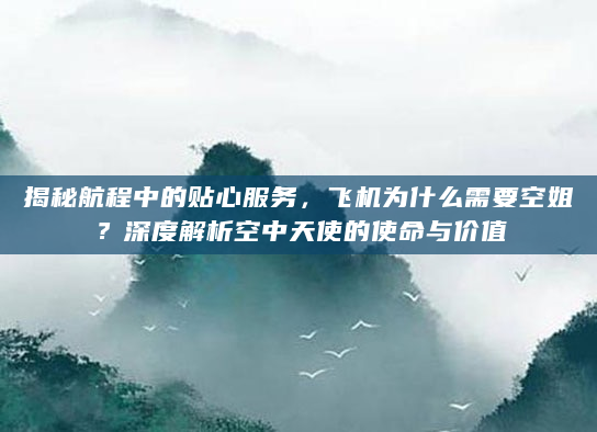 揭秘航程中的贴心服务，飞机为什么需要空姐？深度解析空中天使的使命与价值