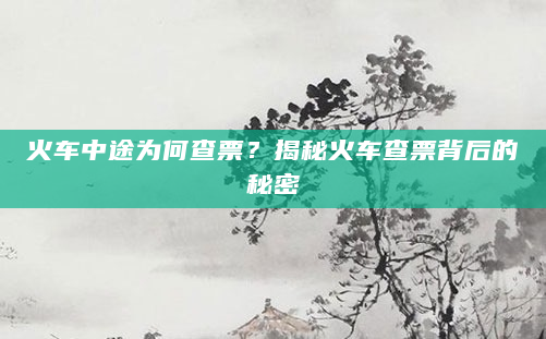 火车中途为何查票？揭秘火车查票背后的秘密