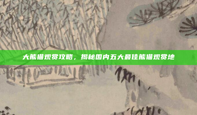 大熊猫观赏攻略，揭秘国内五大最佳熊猫观赏地