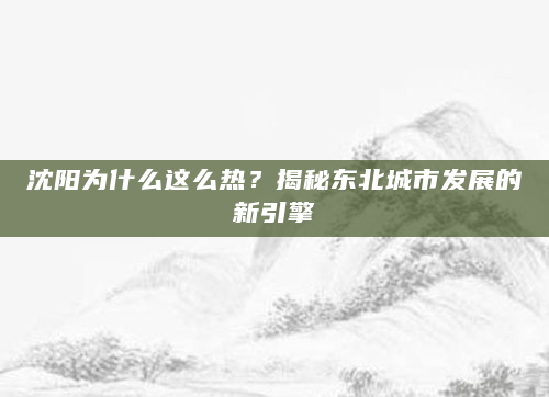 沈阳为什么这么热？揭秘东北城市发展的新引擎