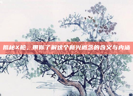 揭秘X舱，带你了解这个新兴概念的含义与内涵