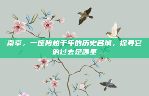 南京，一座跨越千年的历史名城，探寻它的过去是哪里