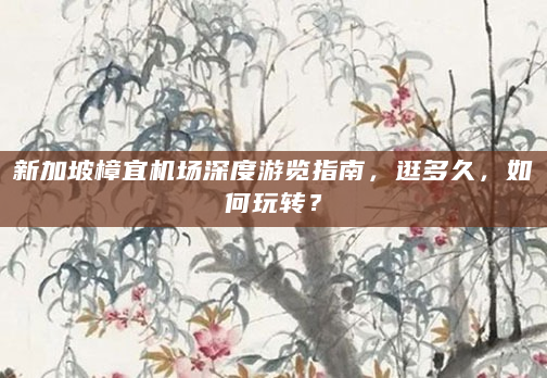 新加坡樟宜机场深度游览指南，逛多久，如何玩转？