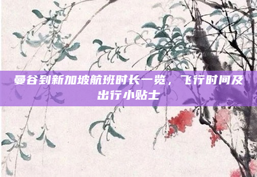曼谷到新加坡航班时长一览，飞行时间及出行小贴士