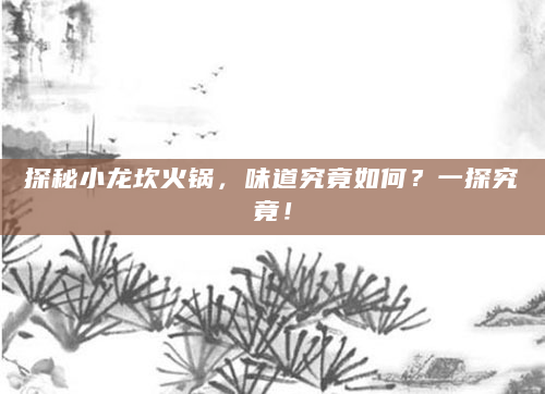 探秘小龙坎火锅，味道究竟如何？一探究竟！