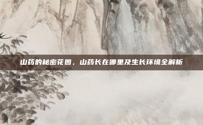 山药的秘密花园，山药长在哪里及生长环境全解析