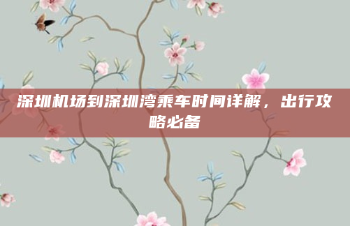 深圳机场到深圳湾乘车时间详解，出行攻略必备