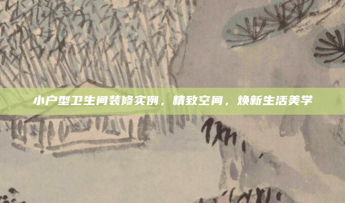 小户型卫生间装修实例，精致空间，焕新生活美学