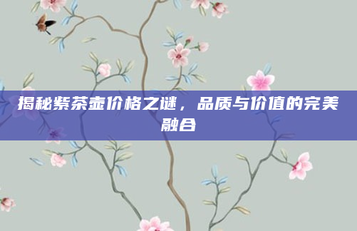 揭秘紫茶壶价格之谜，品质与价值的完美融合