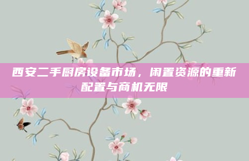 西安二手厨房设备市场，闲置资源的重新配置与商机无限